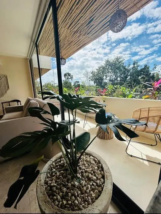 New Large Luxurious 1 Bedroom, 1 Bathroom Apartment In Tulum Mexico