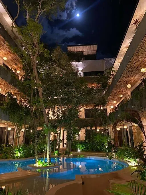 New Large Luxurious 1 Bedroom, 1 Bathroom Apartment In Tulum