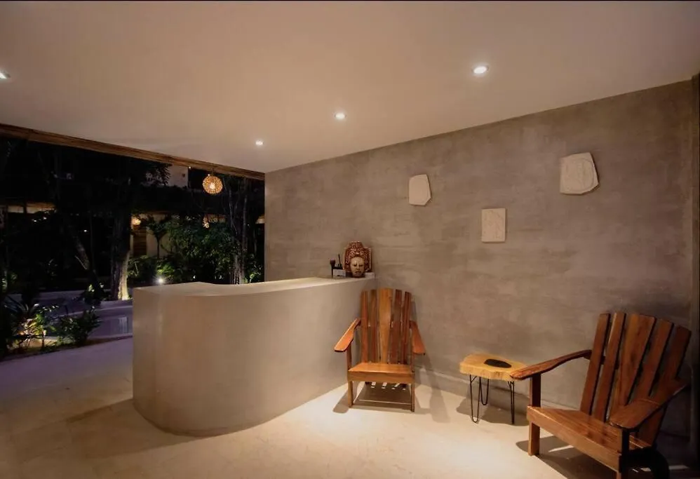 New Large Luxurious 1 Bedroom, 1 Bathroom Apartment In Tulum 0*,  Mexico