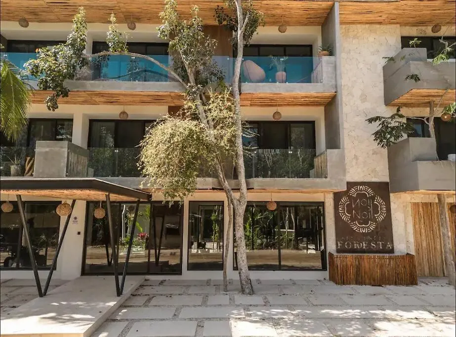 New Large Luxurious 1 Bedroom, 1 Bathroom Apartment In Tulum
